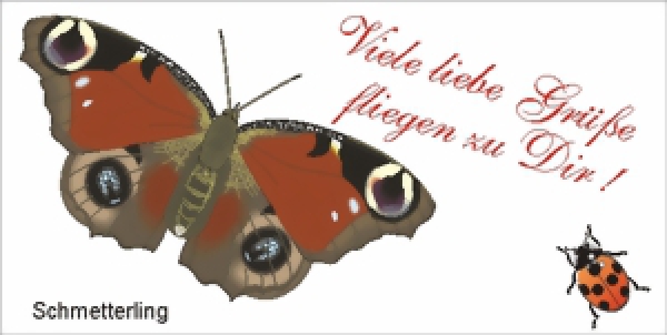 Motiv Schmetterling