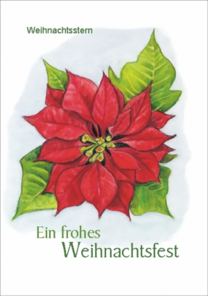 Motiv Weihnachtsstern